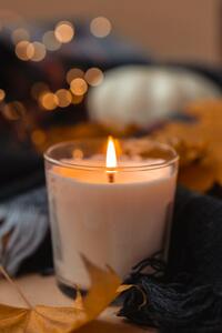 Marie-Louise Steegmans