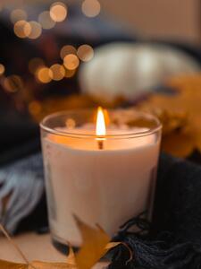 Eddy Vandebroek